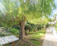 Alquiler - Adosado - Orihuela Costa - Villamartín
