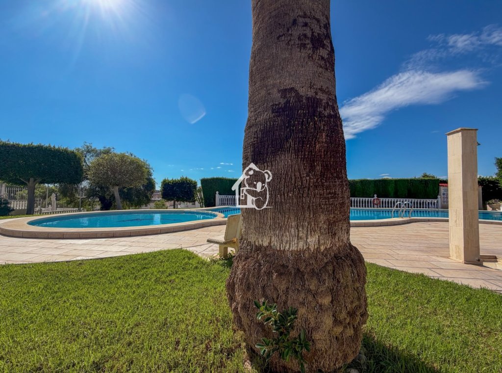 Alquiler - Adosado - Orihuela Costa