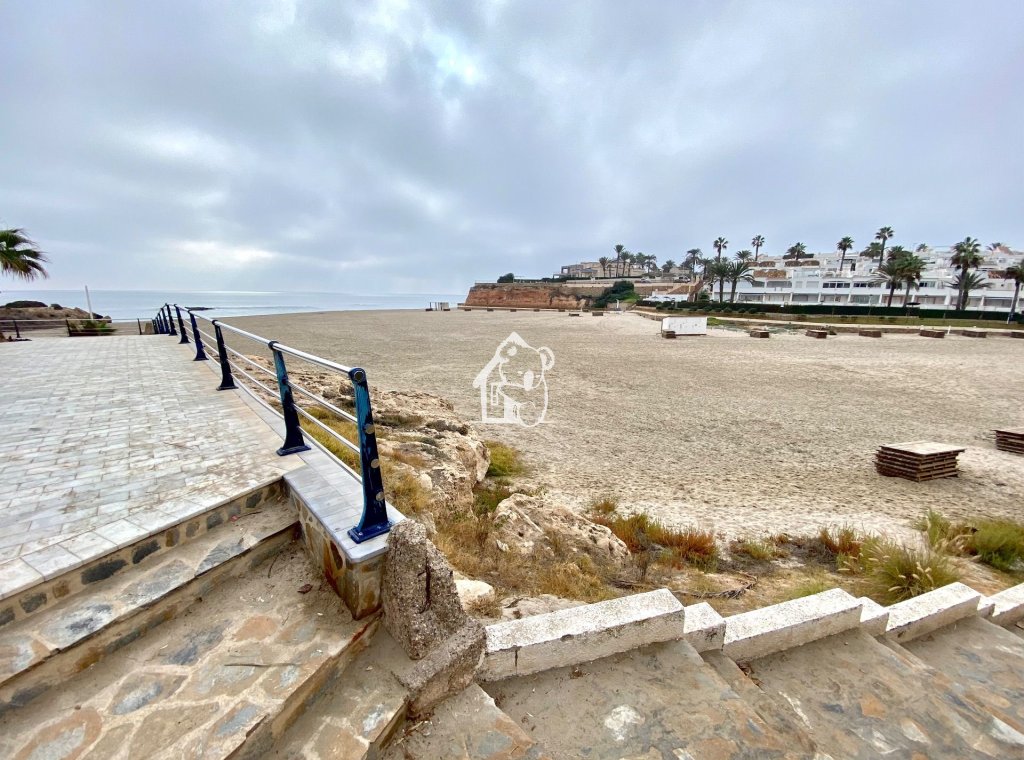 Alquiler - Adosado - Orihuela