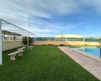 Alquiler - Adosado - Torrevieja - Nueva Torrevieja - Aguas Nuevas