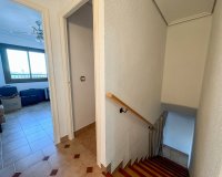 Alquiler - Adosado - Torrevieja - Torrevieja Centro