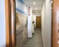 Alquiler - Adosado - Torrevieja - Torrevieja Centro