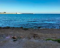 Alquiler - Adosado - Torrevieja - Torrevieja Centro