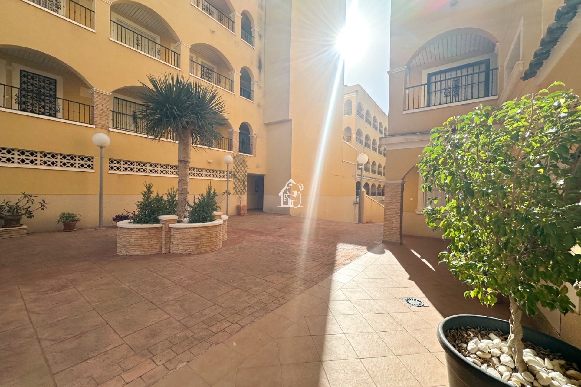 Alquiler - Apartamento / piso - Algorfa