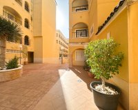 Alquiler - Apartamento / piso - Algorfa