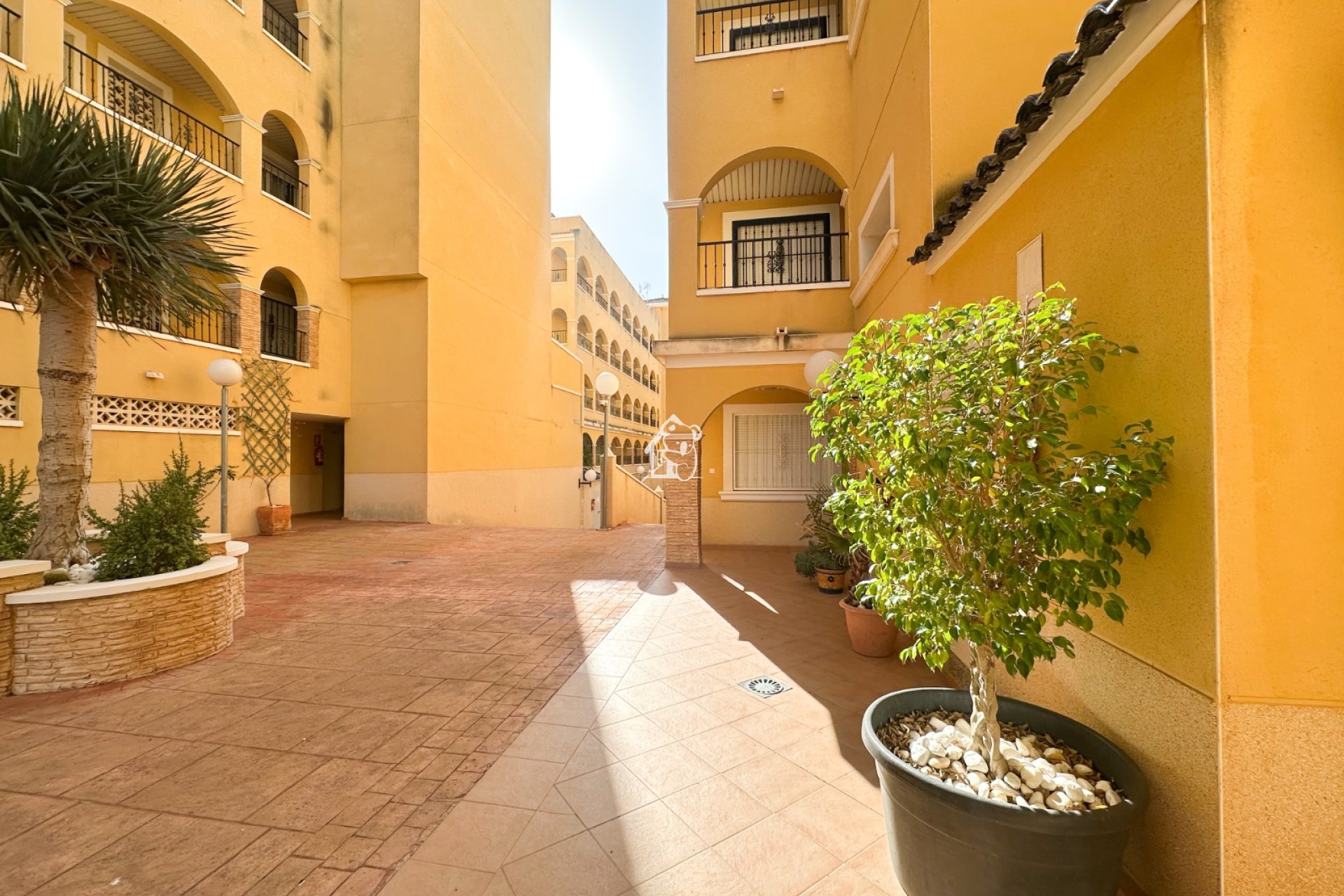 Alquiler - Apartamento / piso - Algorfa