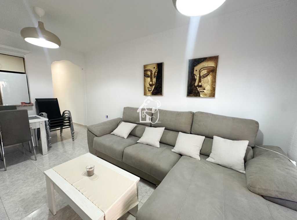 Alquiler - Apartamento / piso - Algorfa