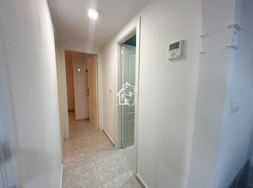 Alquiler - Apartamento / piso - Algorfa