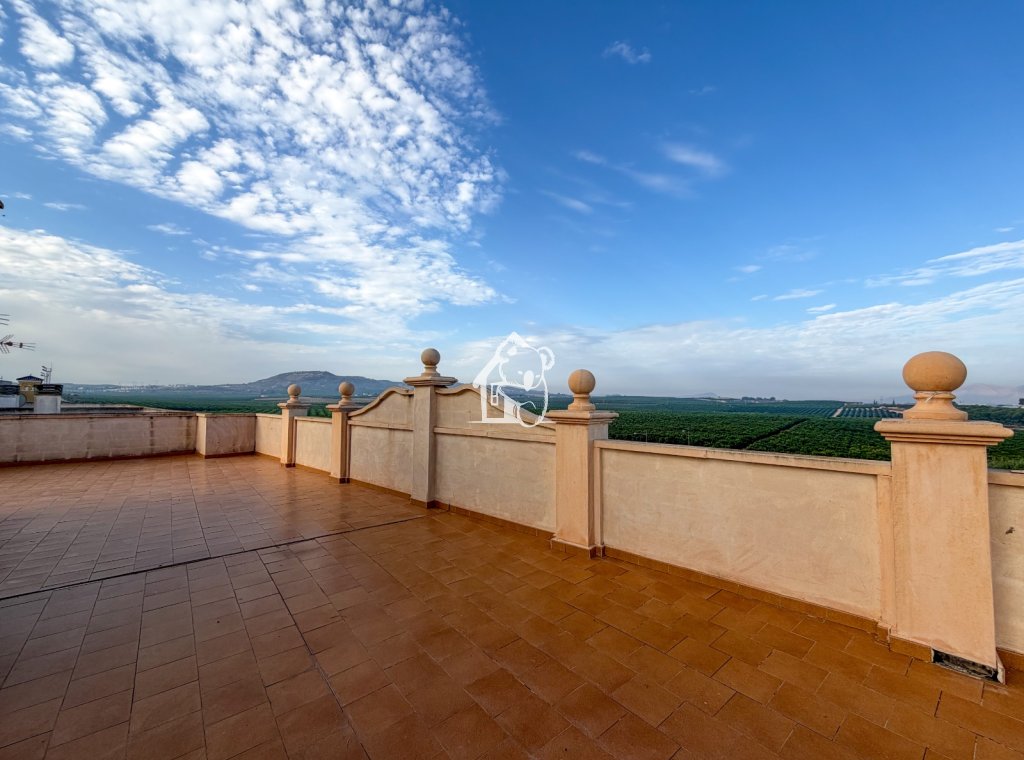 Alquiler - Apartamento / piso - Algorfa