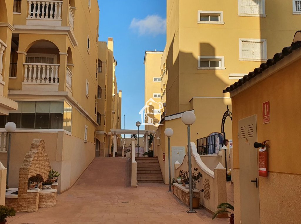 Alquiler - Apartamento / piso - Algorfa