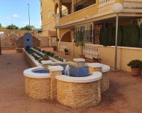 Alquiler - Apartamento / piso - Algorfa
