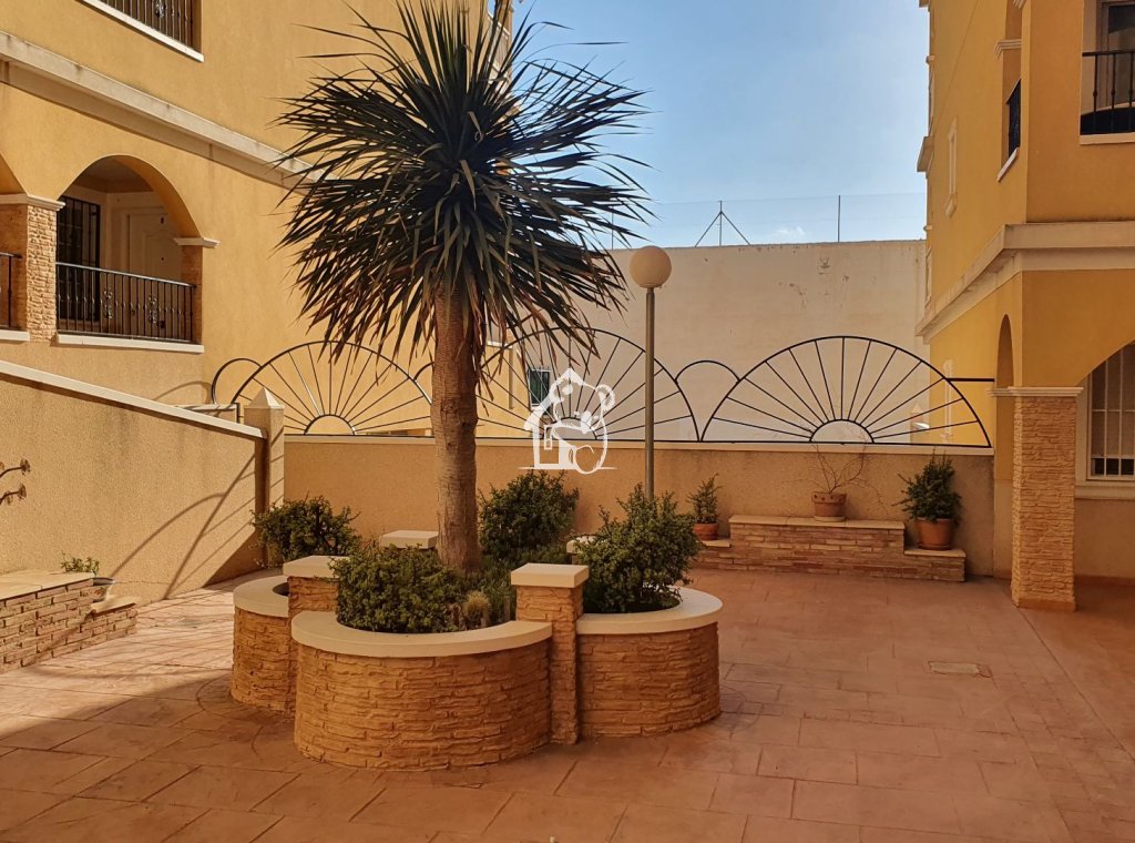 Alquiler - Apartamento / piso - Algorfa