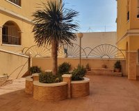 Alquiler - Apartamento / piso - Algorfa