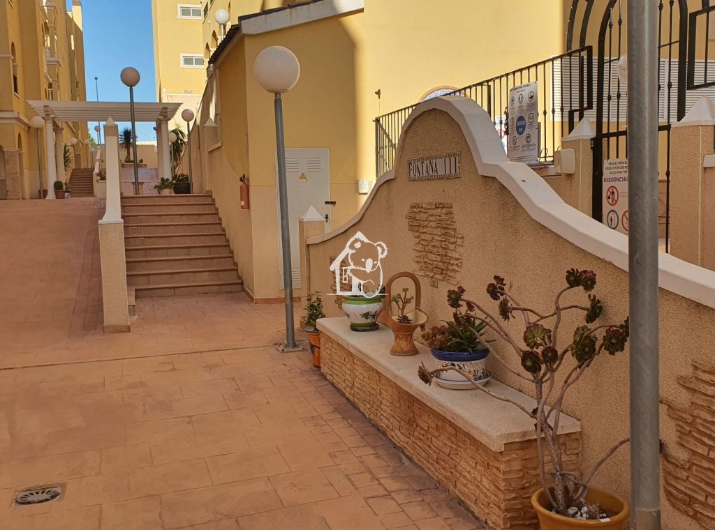 Alquiler - Apartamento / piso - Algorfa