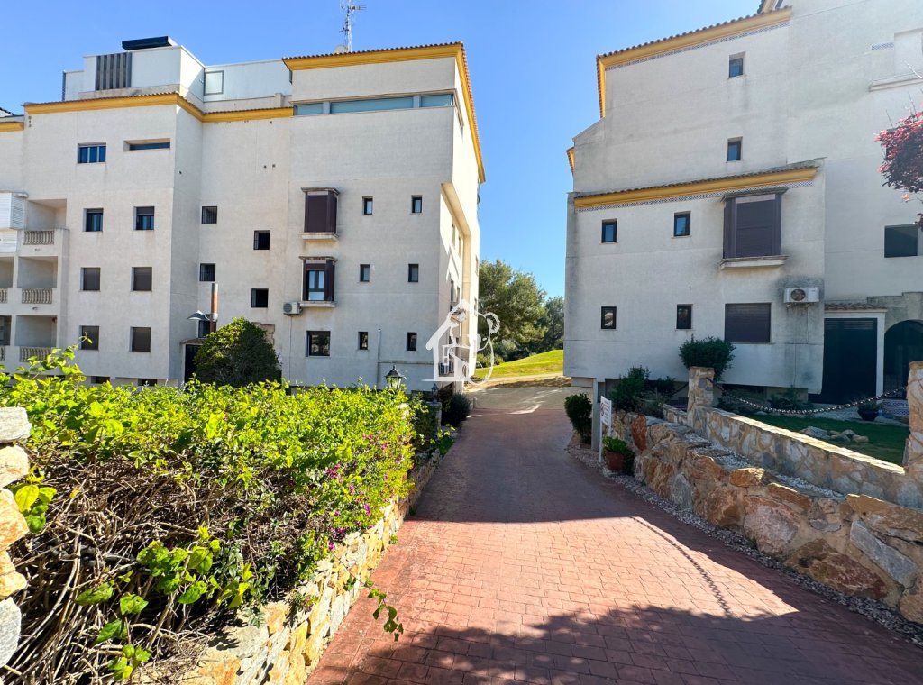 Alquiler - Apartamento / piso - Alicante - Campoamor