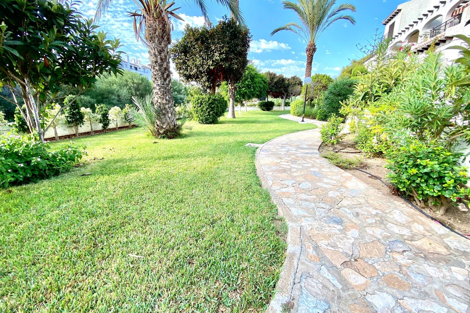 Alquiler - Apartamento / piso - Cabo Roig
