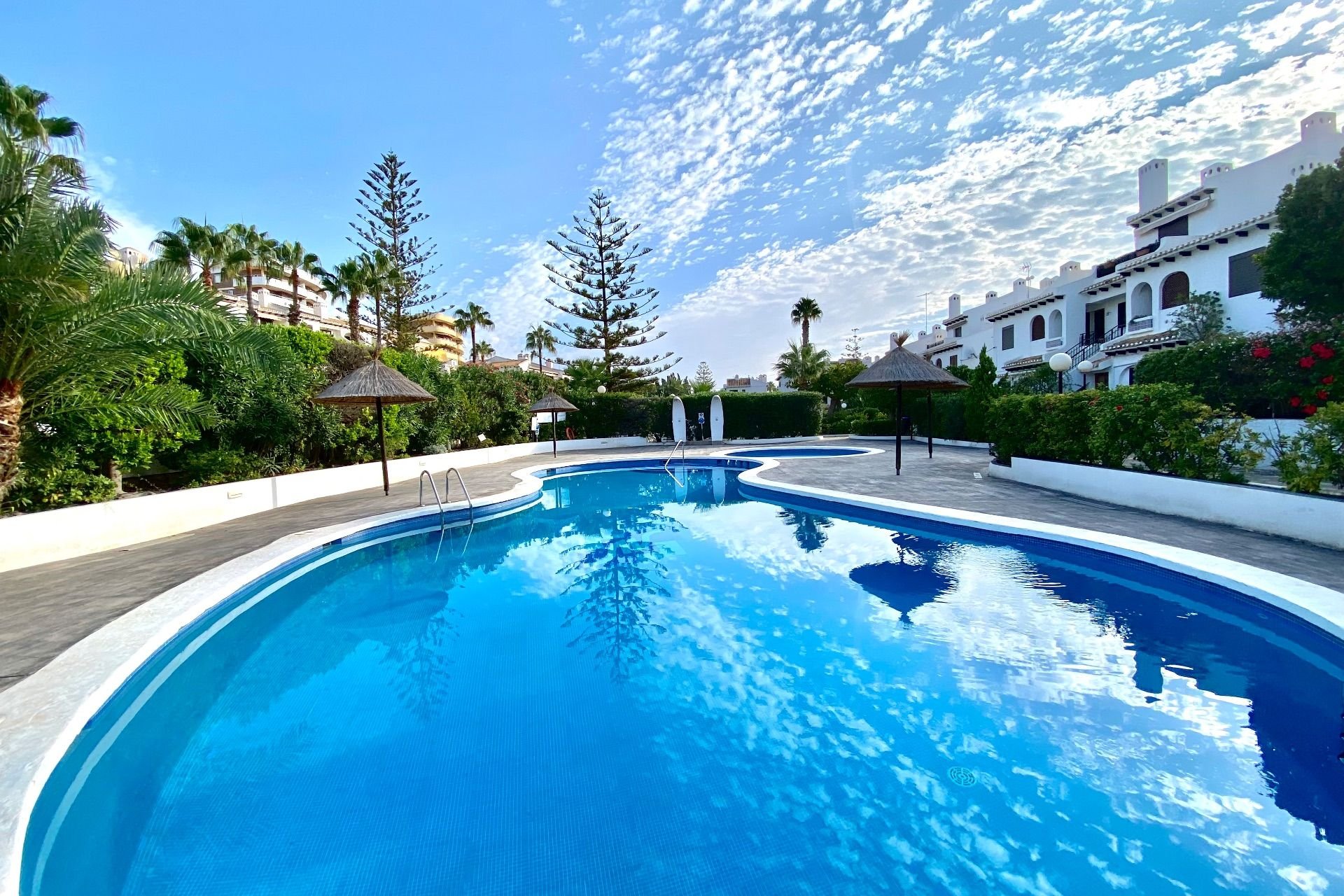 Alquiler - Apartamento / piso - Cabo Roig