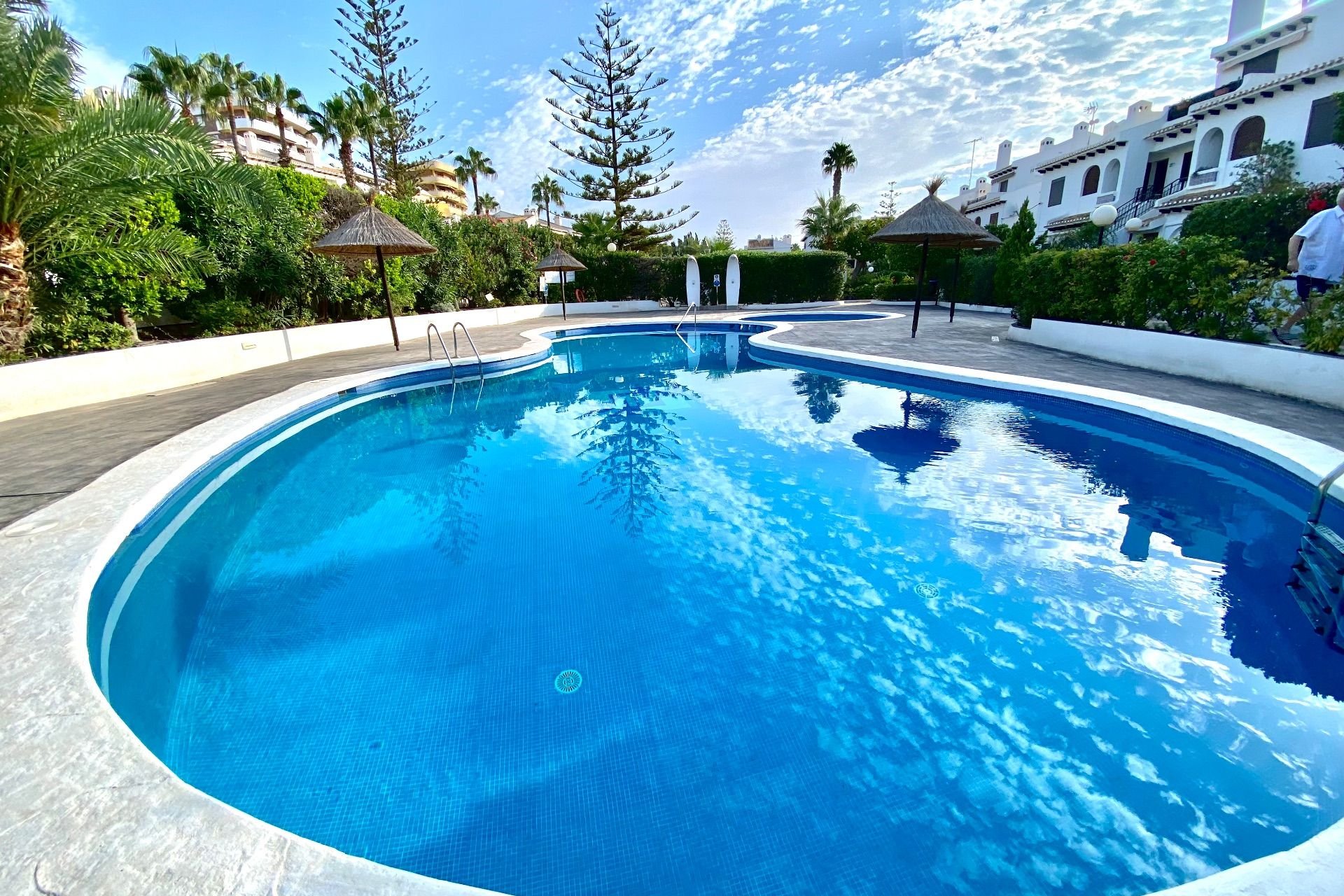 Alquiler - Apartamento / piso - Cabo Roig