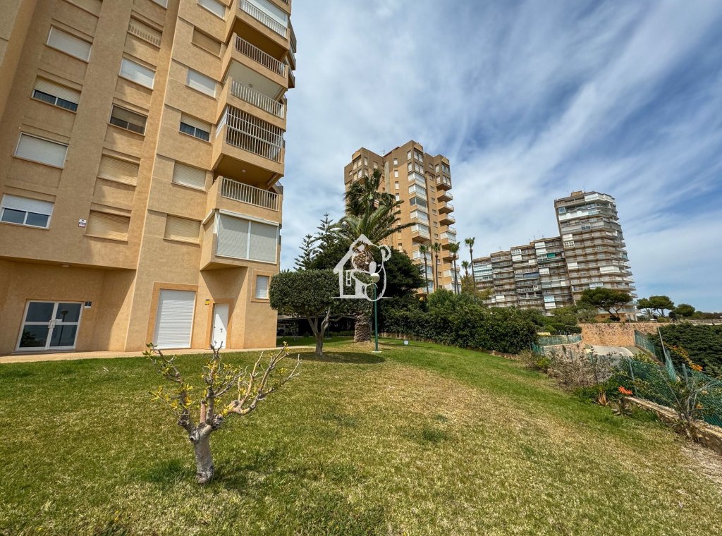 Alquiler - Apartamento / piso - Dehesa de Campoamor