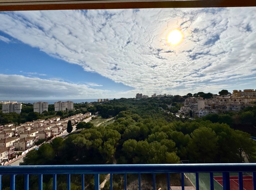 Alquiler - Apartamento / piso - Dehesa de Campoamor