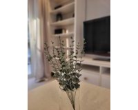 Alquiler - Apartamento / piso - Guardamar del Segura - Guardamar Playa