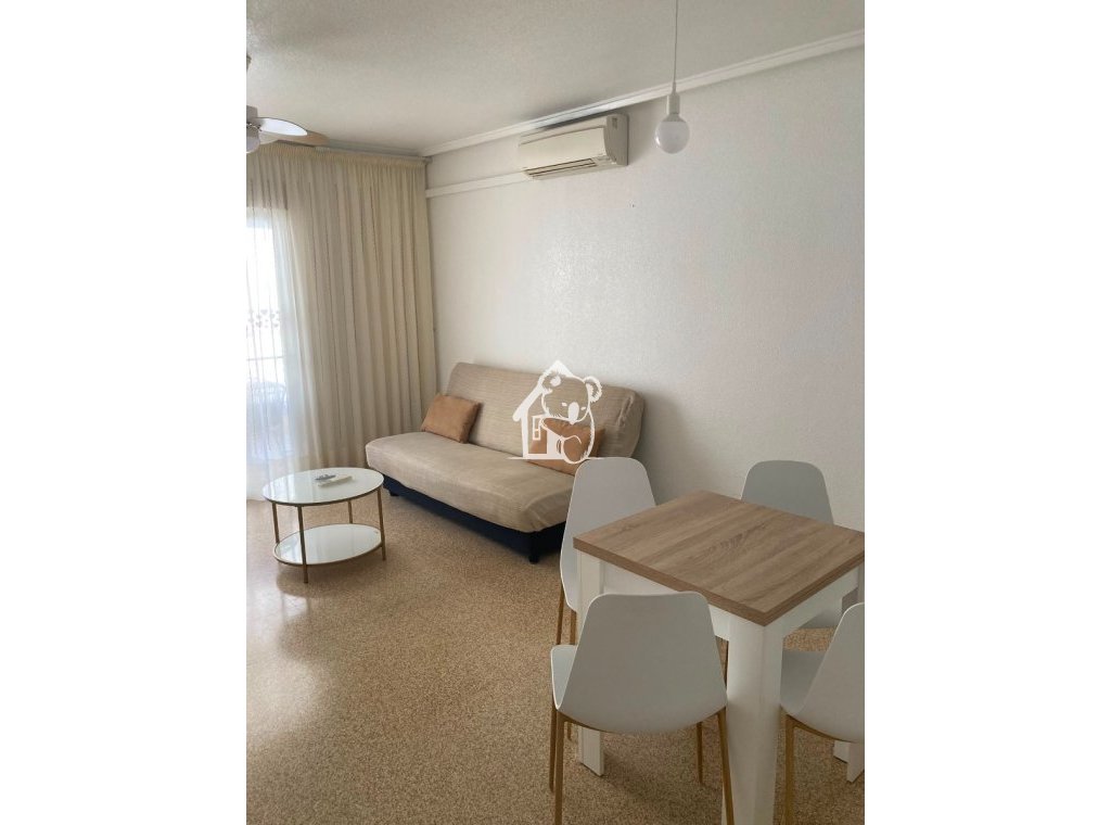 Alquiler - Apartamento / piso - Guardamar del Segura