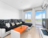 Alquiler - Apartamento / piso - Guardamar del Segura