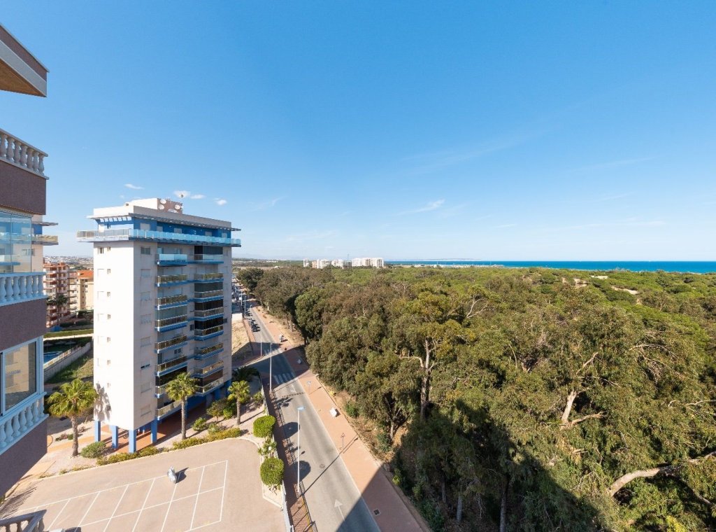 Alquiler - Apartamento / piso - Guardamar del Segura