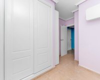 Alquiler - Apartamento / piso - Guardamar del Segura