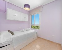 Alquiler - Apartamento / piso - Guardamar del Segura