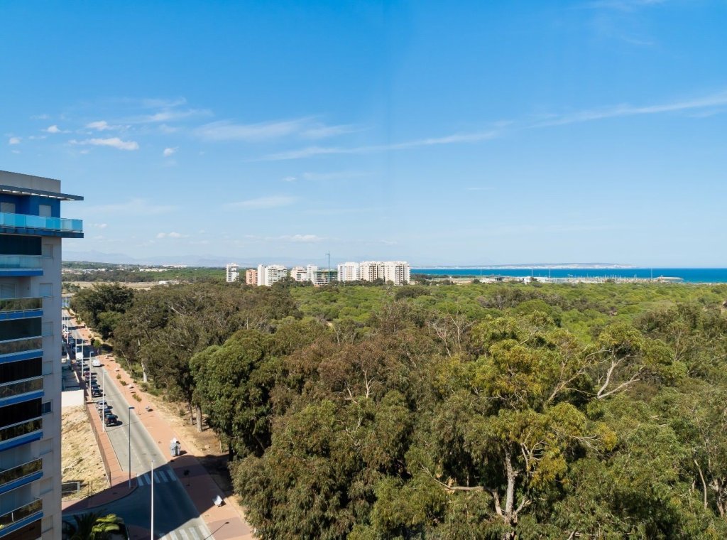 Alquiler - Apartamento / piso - Guardamar del Segura