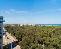 Alquiler - Apartamento / piso - Guardamar del Segura