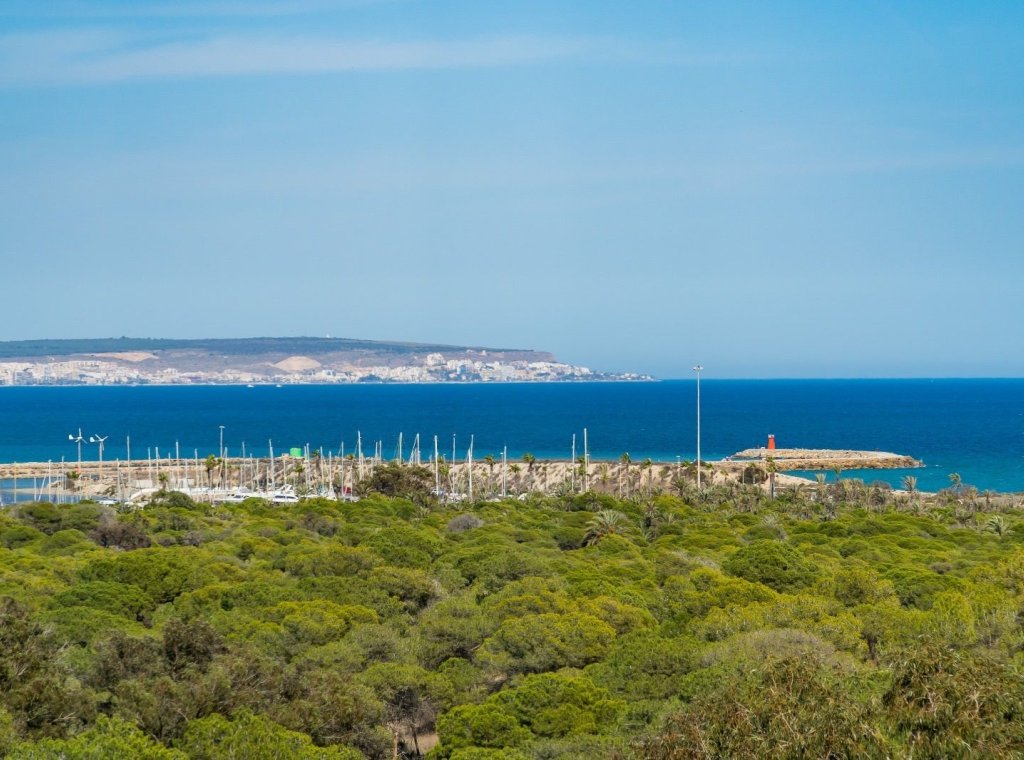 Alquiler - Apartamento / piso - Guardamar del Segura