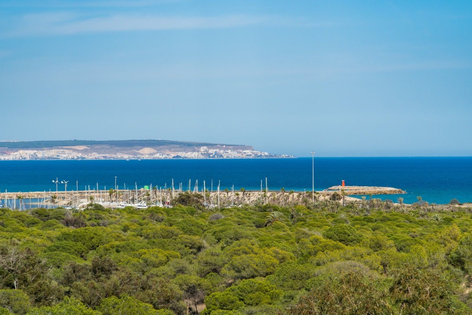 Alquiler - Apartamento / piso - Guardamar del Segura