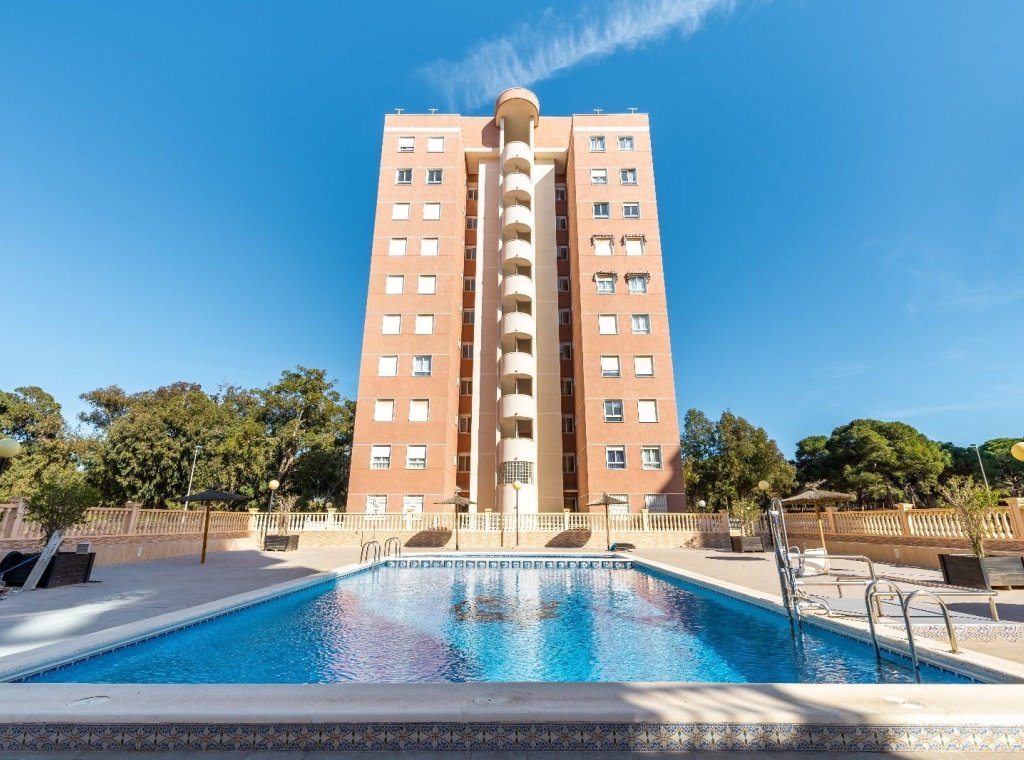 Alquiler - Apartamento / piso - Guardamar del Segura