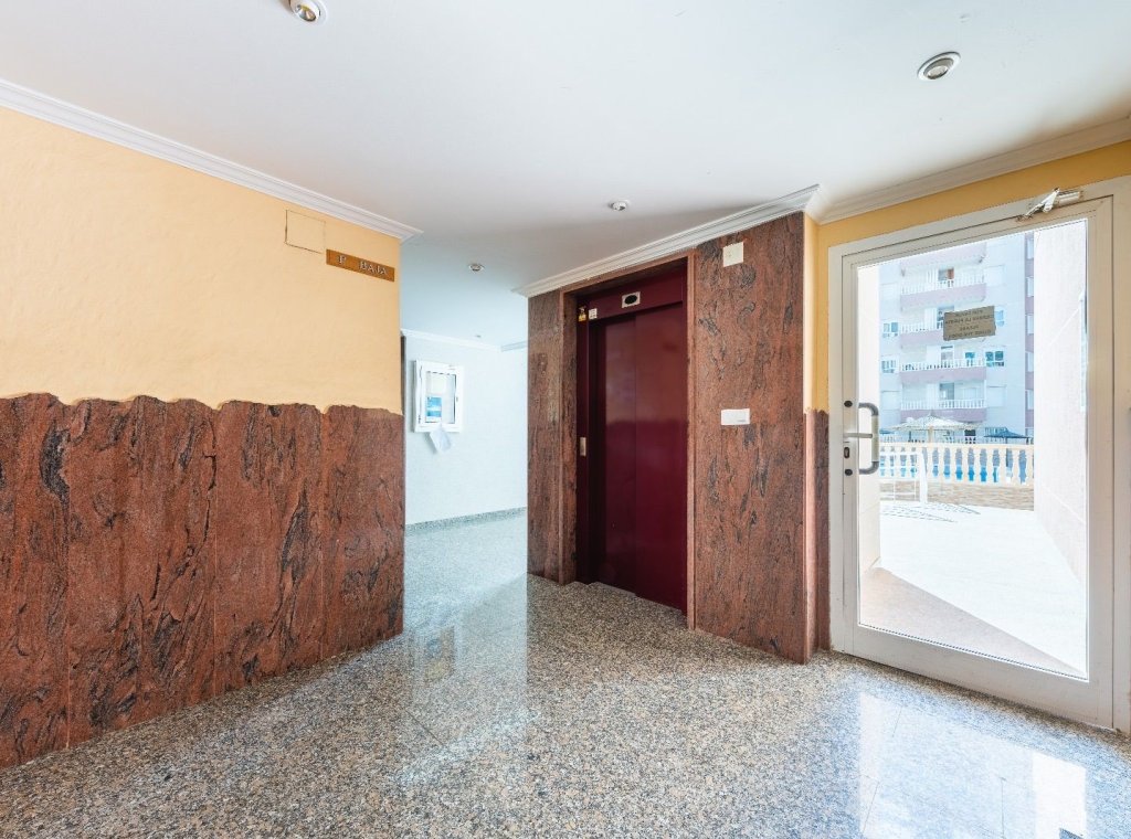 Alquiler - Apartamento / piso - Guardamar del Segura