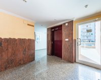 Alquiler - Apartamento / piso - Guardamar del Segura