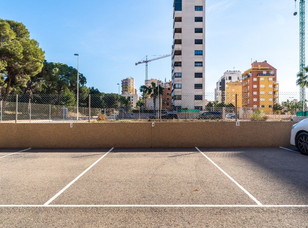 Alquiler - Apartamento / piso - Guardamar del Segura