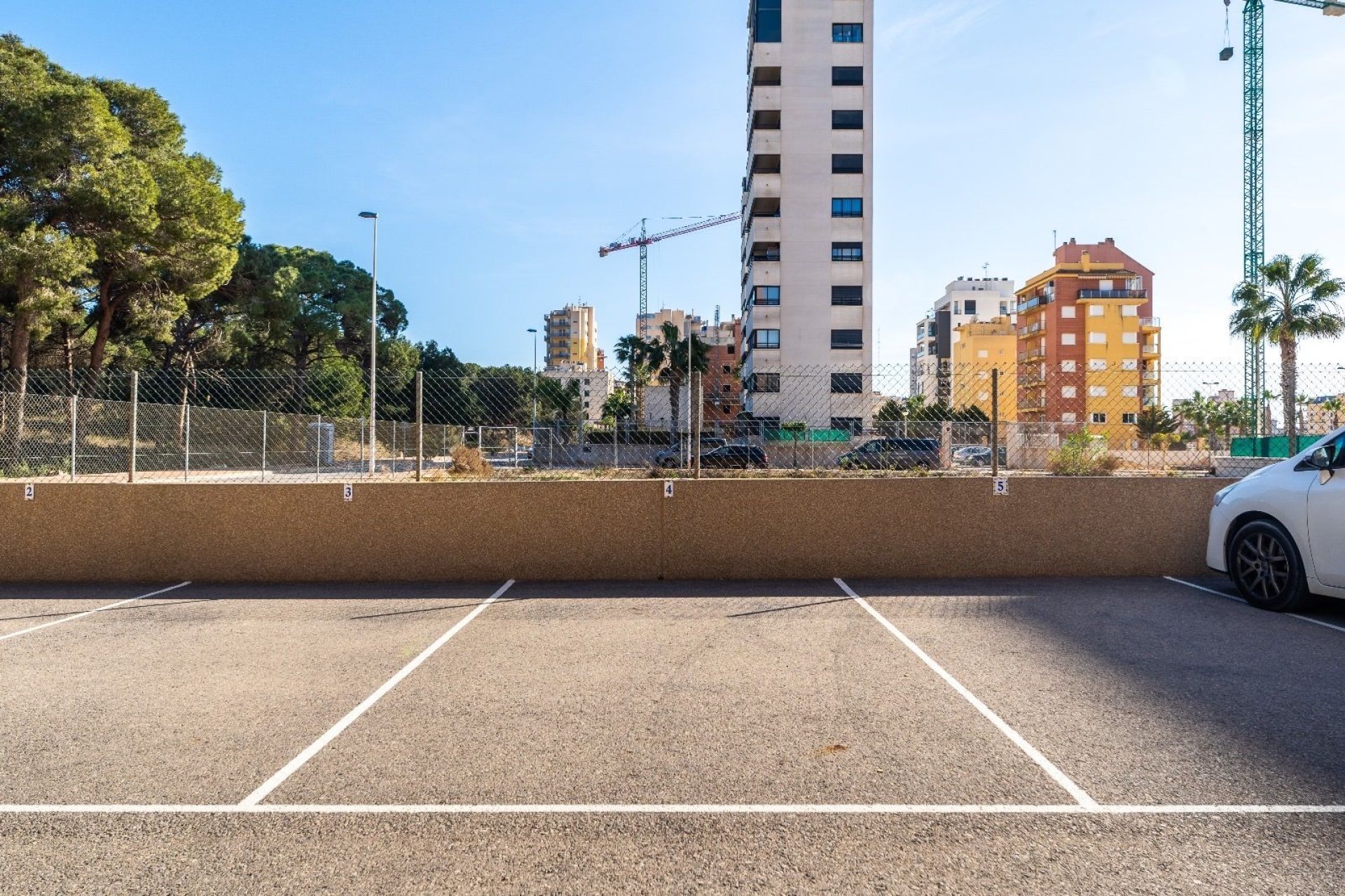 Alquiler - Apartamento / piso - Guardamar del Segura