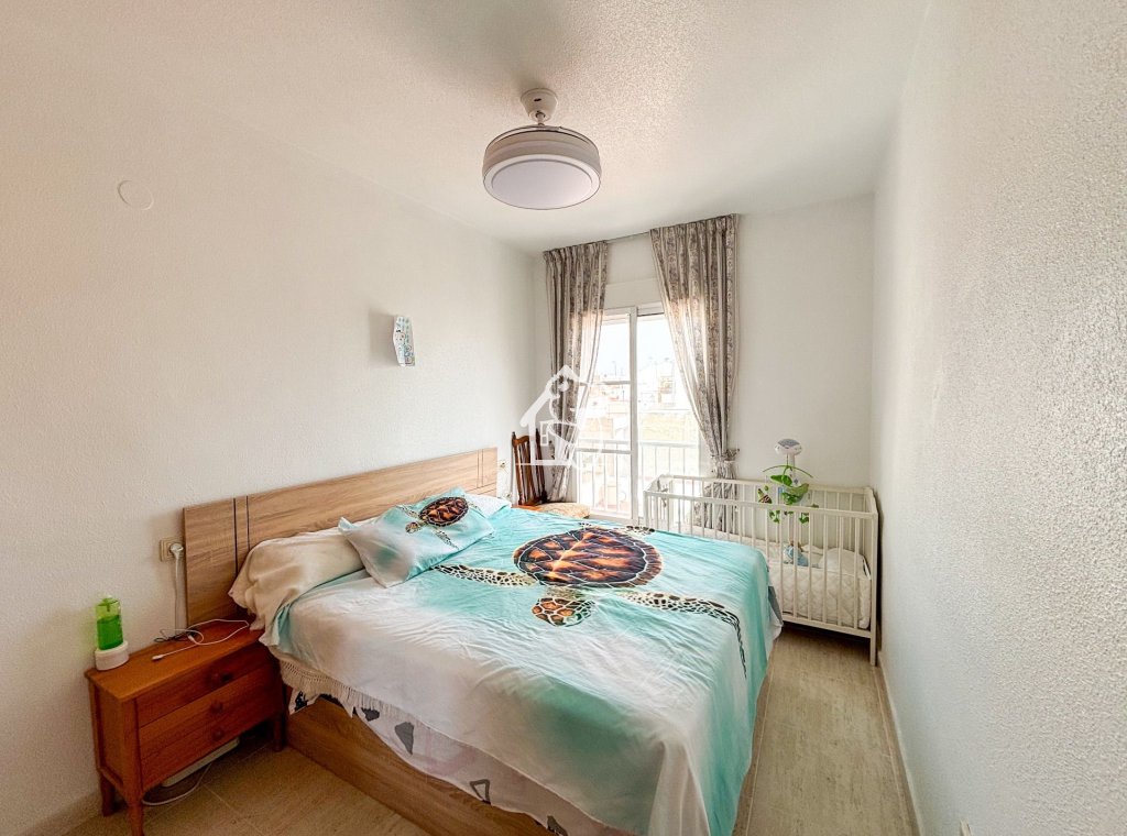 Alquiler - Apartamento / piso - Guardamar del Segura