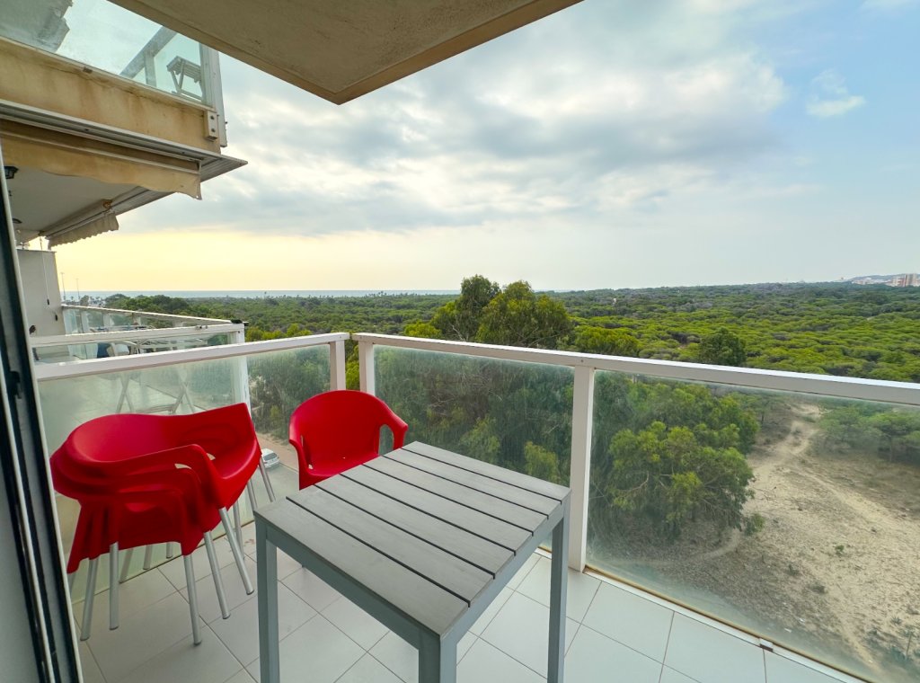 Alquiler - Apartamento / piso - Guardamar del Segura