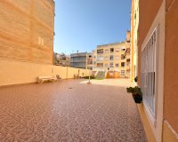 Alquiler - Apartamento / piso - Guardamar del Segura