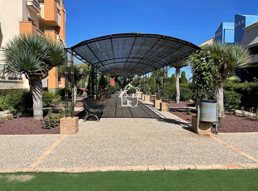 Alquiler - Apartamento / piso - Orihuela Costa - Cabo roig - La Zenia