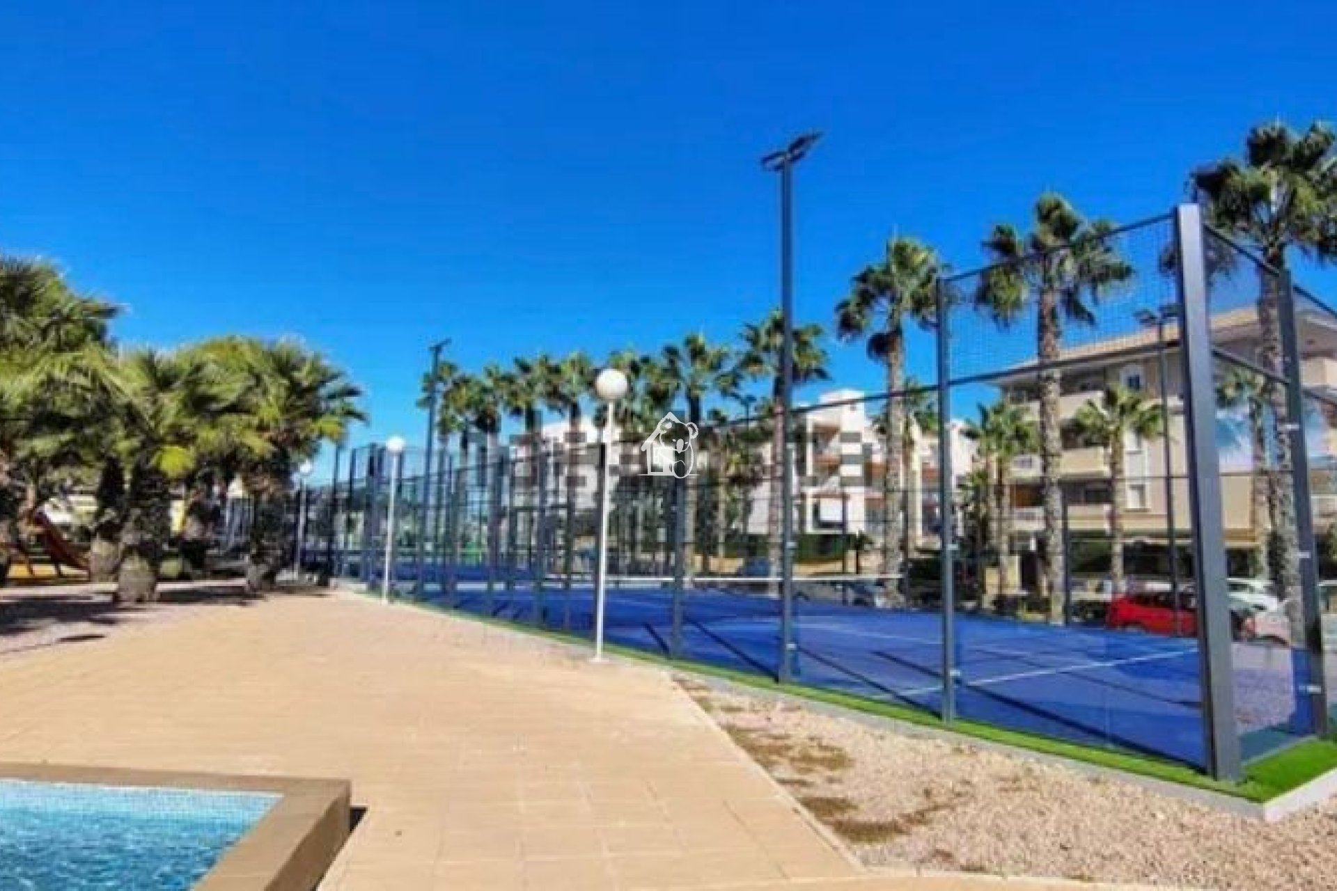 Alquiler - Apartamento / piso - Orihuela Costa - Cabo roig - La Zenia