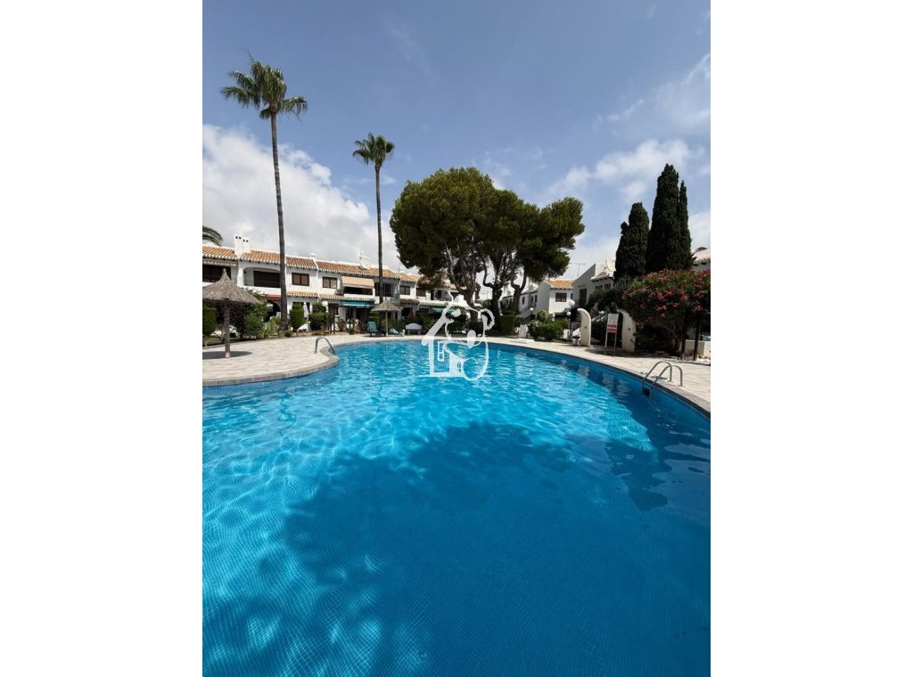 Alquiler - Apartamento / piso - Orihuela Costa - Cabo roig - La Zenia