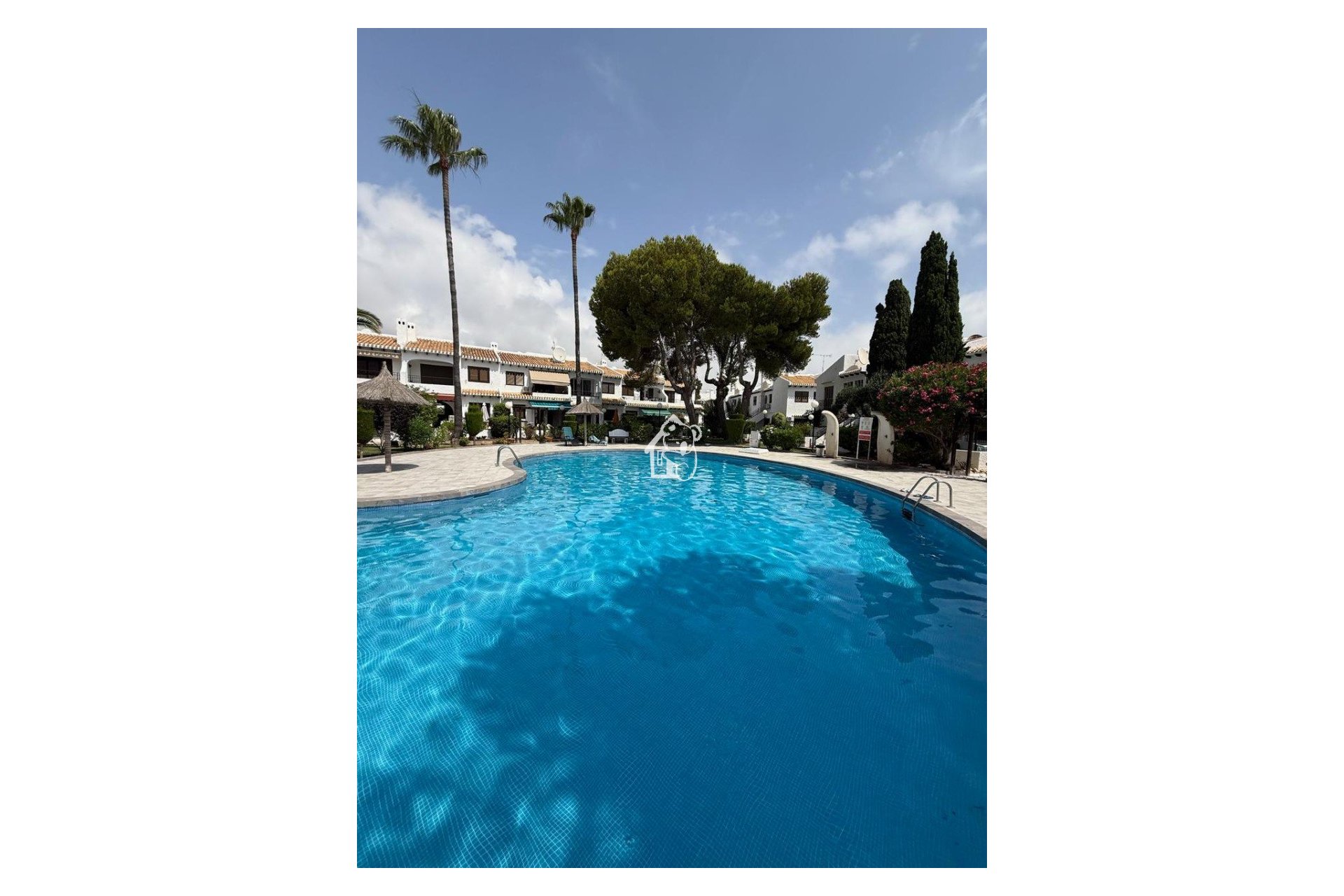 Alquiler - Apartamento / piso - Orihuela Costa - Cabo roig - La Zenia