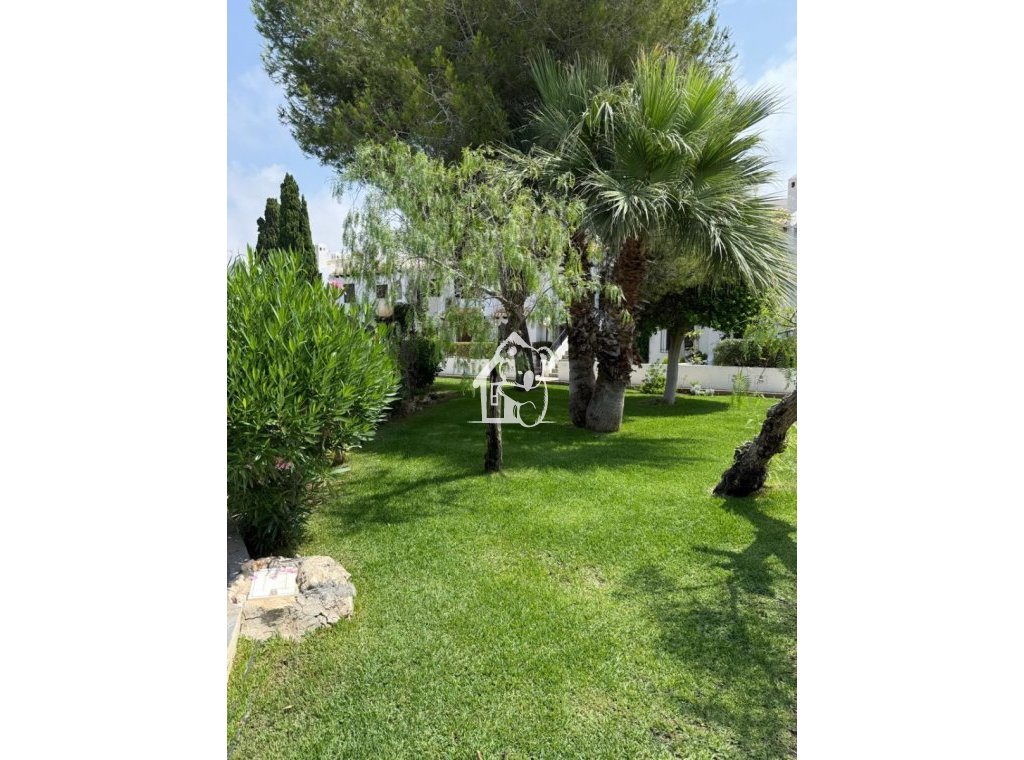 Alquiler - Apartamento / piso - Orihuela Costa - Cabo roig - La Zenia