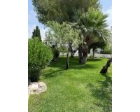 Alquiler - Apartamento / piso - Orihuela Costa - Cabo roig - La Zenia