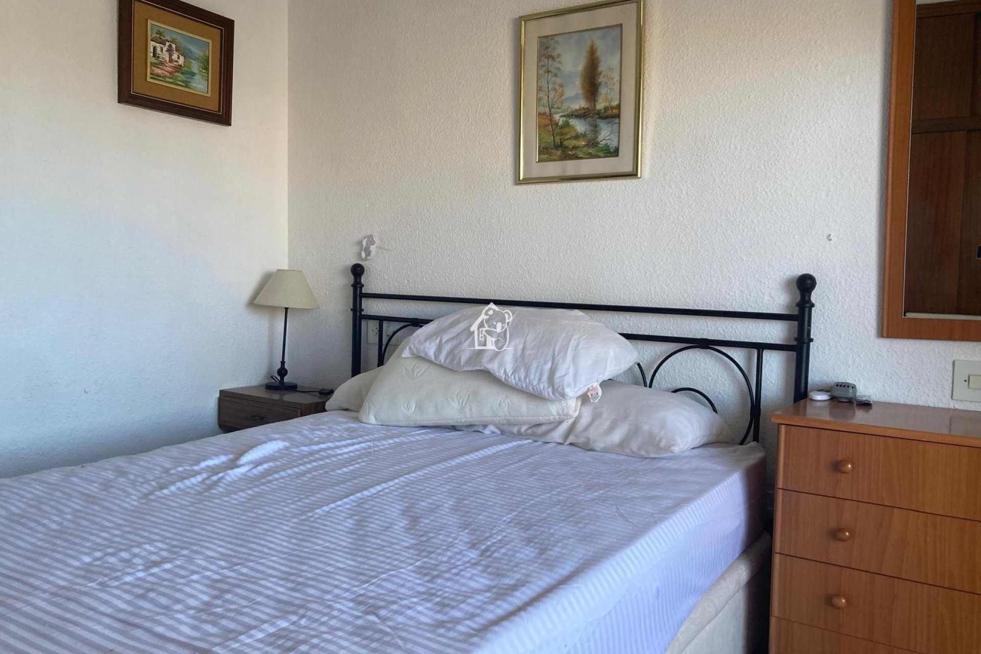 Alquiler - Apartamento / piso - Orihuela Costa - Cabo roig - La Zenia