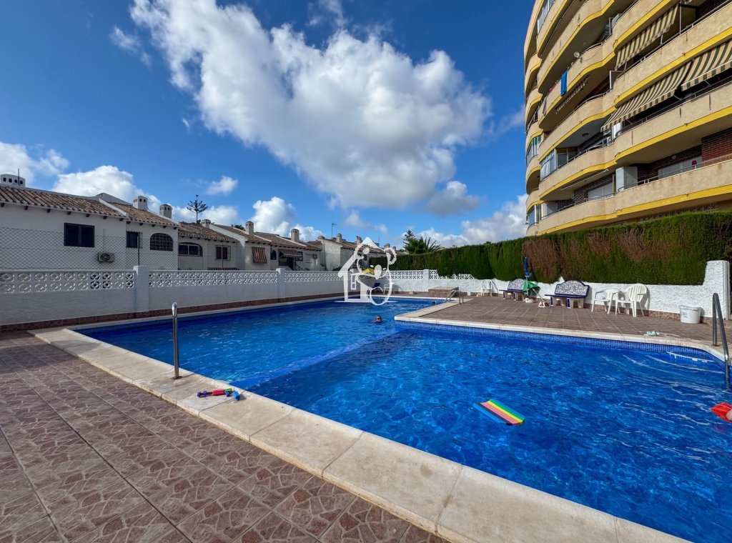 Alquiler - Apartamento / piso - Orihuela Costa - Cabo roig - La Zenia